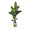 7ft. Artificial Travelers Palm Tree with Basket